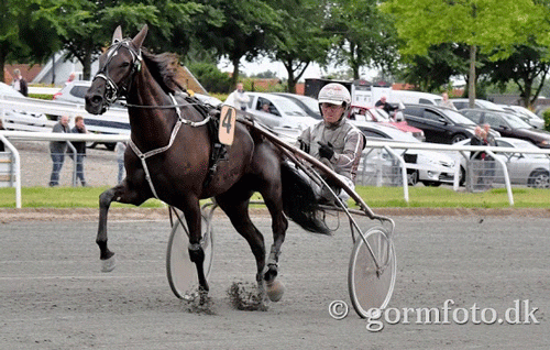 Lesperanza med Christian Lindhardt er overset i tipsene i baneprogrammet!! 