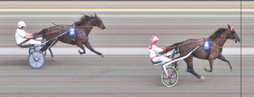 Listas Manboy med Knud Mønster vinder sikkert.