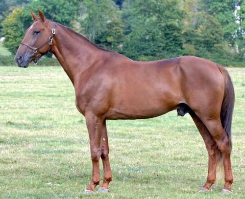 Love You - faderen til Axel