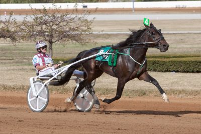 Lucky Chucky havde et godt salg i Harrisburg