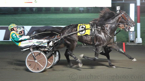 Og så tæt var de på mplsytregen - Wings of Royalty og indvendige Pinkman. Lisa Photo