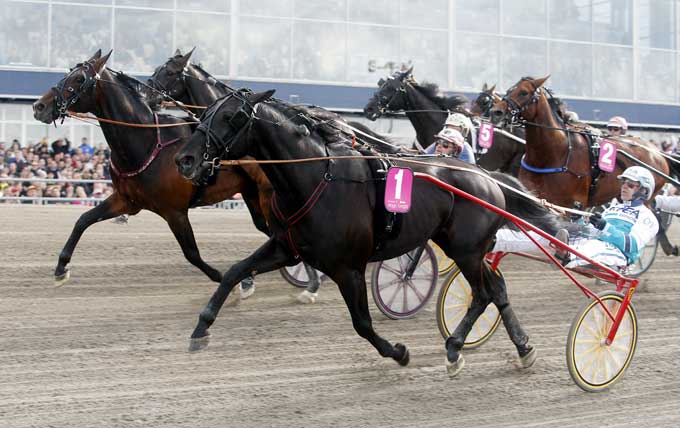 Magic Tonight vinder Elitlopps finalen for รrjan Kihlstrรถm. Kanal 75
