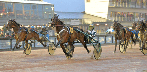 maharjah-mal-lj-jpg-346500