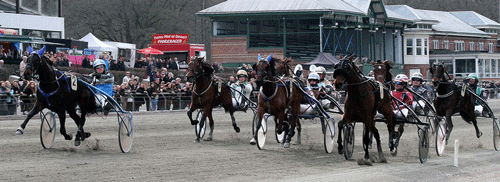Udei banen speeder Amnalie Brk med Morten Friis stærkt og fanger længe førende Proud of my Face med Lutfi Kolgjini. Foto Martin Timm Holmstav