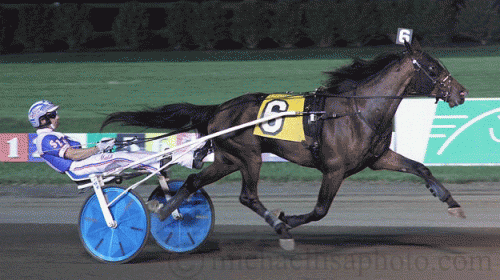 Marion Marauder - Lisa Photo