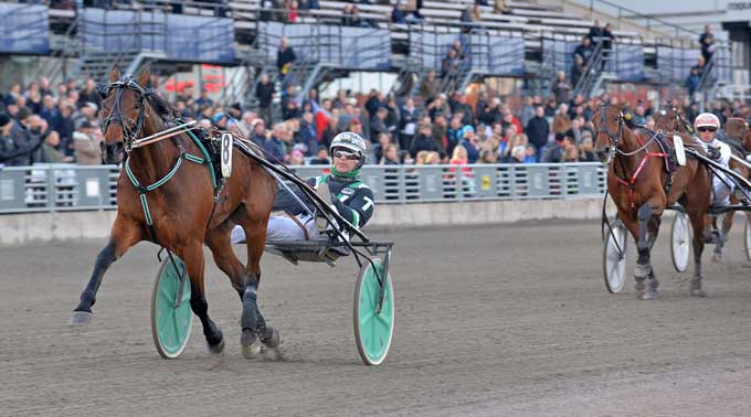 Maven med Johnny Takter har igen trukket et højt startnummer Kanal 75.