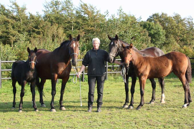 Susanne Juel med de to top hopper, South Hanover og Ripley, der begge har hoppefรธl efter Muscles Yankee