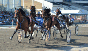 Mister J P med Bjรธrn Goop vandt sikkert Breeders Course-finalen i sin seneste start, Tunika i ryg bliver nummer to. Kanal 75