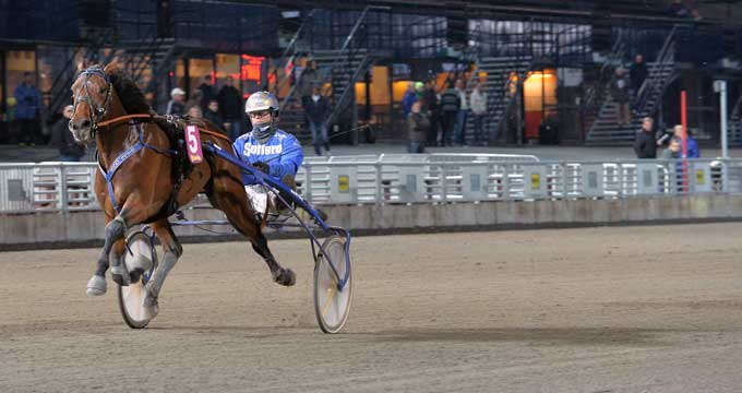 Trods en startfejl der kostede omkring 30 meter var Mister JP med Bjærn Goop alligevel en sikker vinder i flotte 1.13.6a/1640 m. Kanal 75