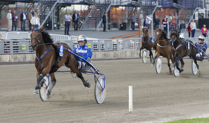 Mister J P med Bjærn Goop var uden konkurrnce, da den sejrede i ny svenske rkeord 1.13.4a/1640 m Foto Kanal 75