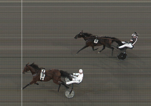 Montgomery Hill vinder sikkert foran Mosaique Face