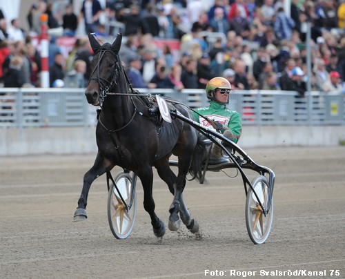 Muscles Wiuking BR med BJærn Goop. Foto Kanal 75