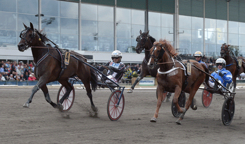 Nadal Broline med Ulf Ohlsson viste en stærk præstation, da den vandt Gulddivisionen. Foto Kanal 75