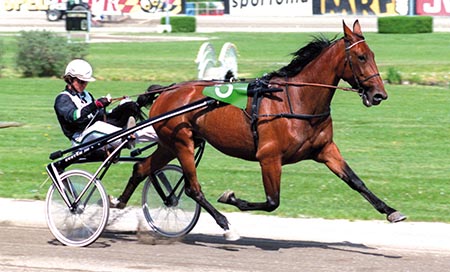 superhoppen Nealy Lobell med Johnny Takter