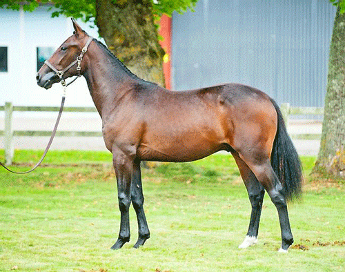 Newton Tile v. Broadway Hall som Michael Lønborg købte