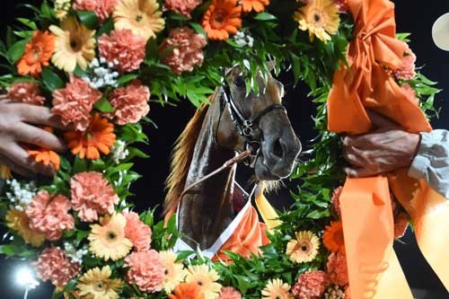 Nimbus CD. Foto: Kanal 75