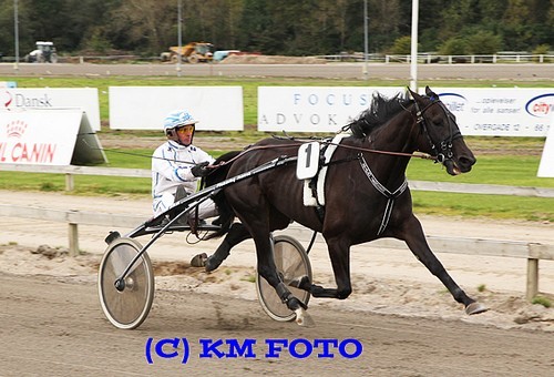 Får Nobodybeatsthebest en lillebroder eller lillesøster til næste år?