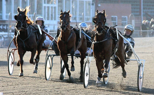 NOk'En Frækkert med Birger Jørgensen vinder Ulrichs Mindeløb, Foto Martin Timm Holmstav