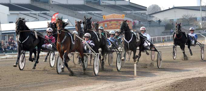 Efter 1100 meters kørsel - Noras Bean er førende med El Mago Pellini udvendigt Foto Kanal 75
