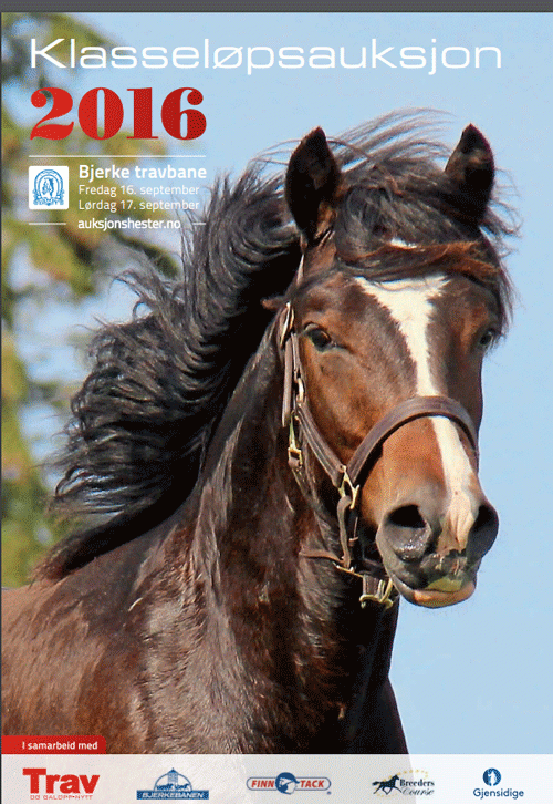 norsk-auktion--2016