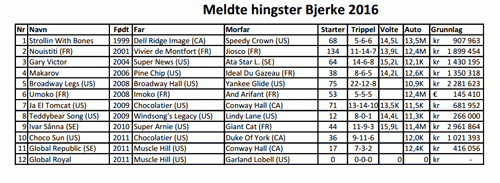 norsk-hingstefremstilling-2016