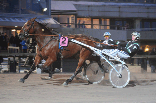 nougat-as-takter-johnny-mal-v75-6-2478-jpg-351926