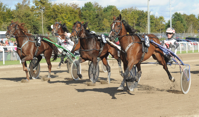 Nouvelle Pelle med Jeppe Rask vinder i 1.11.5a/1600 m årets første sejr. Foto Ole Hindby