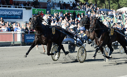 Tycoon COnway Hall med Thomas Uhrberg stred tappert mod Nuncio med Ôrjan Kihlström. Foto Kanal 75