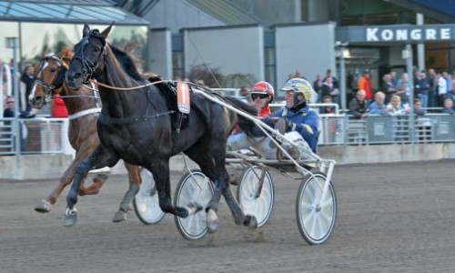 NUncio med Stefan Melander er storfavoritter i V86-spilslet i aften.