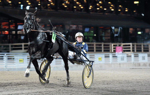 Nuncio og Stefan Melander ved sejren i onsdags på Solvalla.Foto Kanal 75