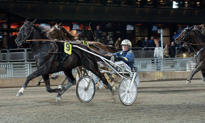 Nuncio med Stefan Melander vandt sin sรฆsondebut i fine 1.10.1. Foto Kanal 75