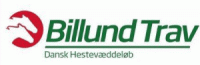 nylogobillund-e1405584690925