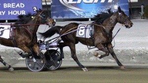 Odds On Amethyst  vinder foran B Toyo i verdens hidtil hurtuigste tid i år 1.09.6 Foto Lisa Photo