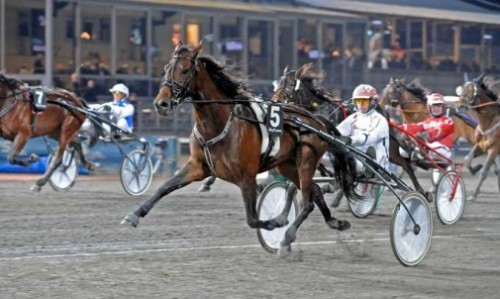 Flemming jensen sender i eftermiddag O'Grady til start med Jeppe Rask i sulkyen. Foto Kanal 75