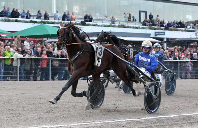 Okay Bee med Bjærn Goop vinder sikkert, men bemærk at parret har overskredet den hvide linje.  De skulle have været på den anden side.