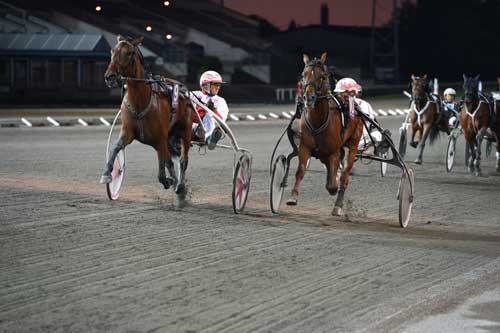 Efter en herlig opløbsdyst vinder udvendige Omega Gold foran Nancy America. Kanal 75
