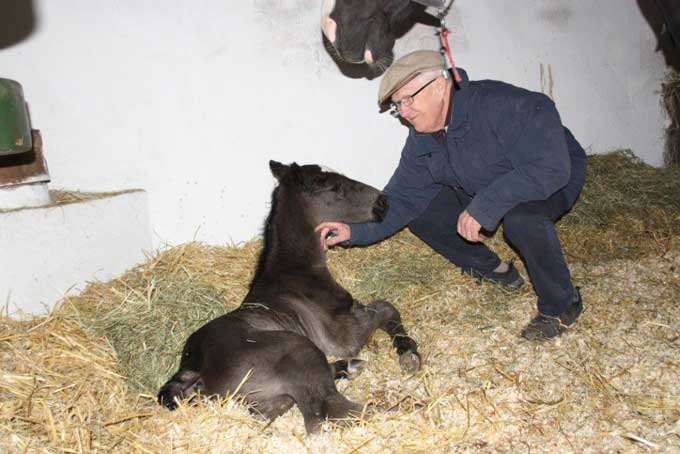 Verner Juel Rasmussen med nyfødte Our Vixi
