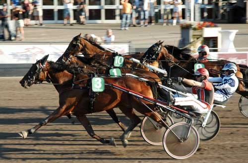 Overtaker By Rib smuttede indeom o gfangede Nok'En FRækkert, mens Nesmil Hanover slutter stærkt af udvendigt. Foto Halmstadtravet