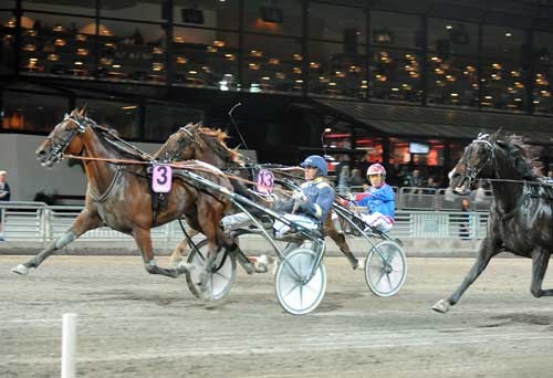 Panoramic med Ôrjan Kihlström vinder sidste afdeling i V86-spillet til 22 gange pengene og er dermed med til at sikre Kristian Huselius en gevinst på over 6 millioner kroner. Foto Kanal 75