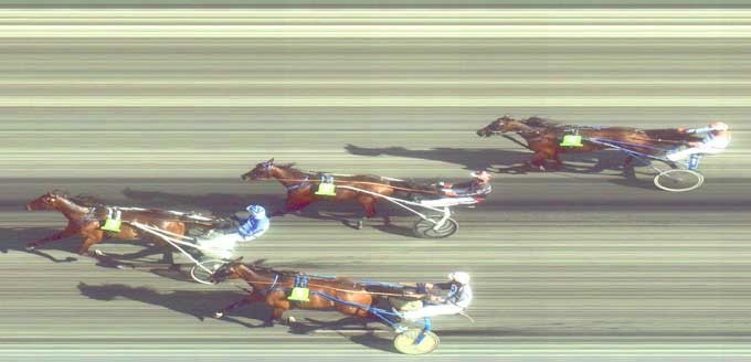 Papagoyo E cinder sikkert foran Hitchcock, Thai Broadway og Repay Merci.