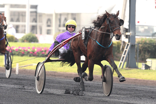 Partout Simoni vandt sin fรธrste start for den franske trรฆner Sebastian Guarato. Pรฅ prix d'Aerique-dagen. I sulkyen Dominik Locqueneux Arkivfto Gerard Forni