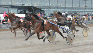 Pascia L'Est vandt Palio dei Comuni. Men hvem træner den egentlig? Arkivfoto