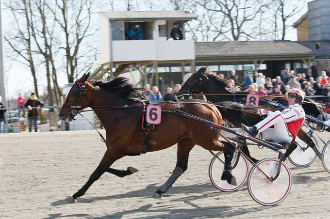 Paymybills Diamant med Robin Bankker vandt FRosty hanovers Mindeløb foran Wishing Boy med Steen Juul. Foto Flemming Andersen