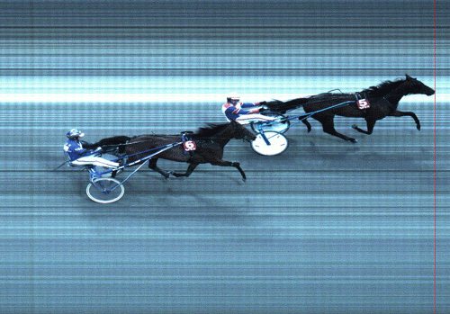 Photo Lavec afviser El Toro BR