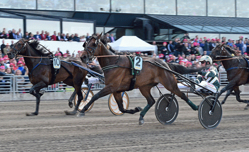 PInkm an med Yannick Gingras vandt 4.årsEliten foran UNcle Lasse med Ôrjan Kihkström,. Foto Kanal 75