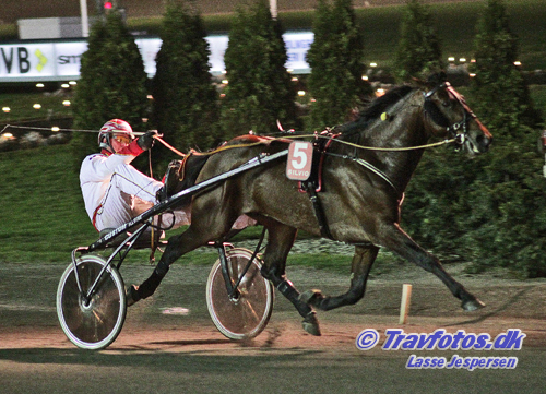 Pinocchio HJ er på vej tilbage til løbene