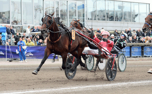 Poet Brolone med Peter Untersteiner vinder Kongu-kalen. Foto Kanal 75