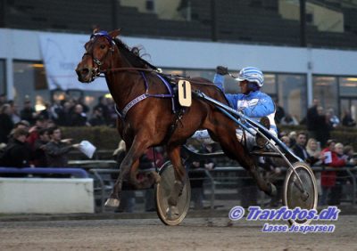 Politiken bliver favorit i montéfinalen tirsdag i Skive