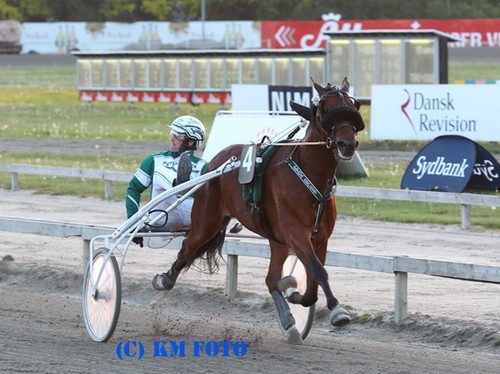 Prada Seccret med Ole Bender Arkivfoto KM Foto