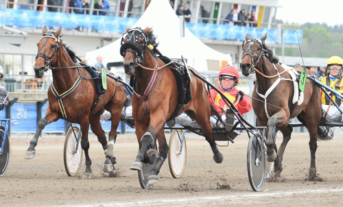 Princess Face med Bjรธrn Goop vinder Drottninge-pokalen. Foto Kanal 75